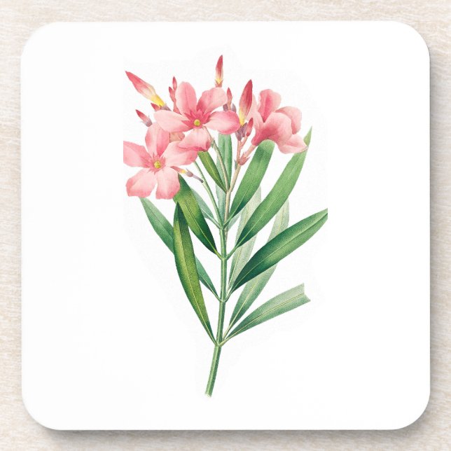 Flower: A005 Oleander - Beverage Coaster (Front)