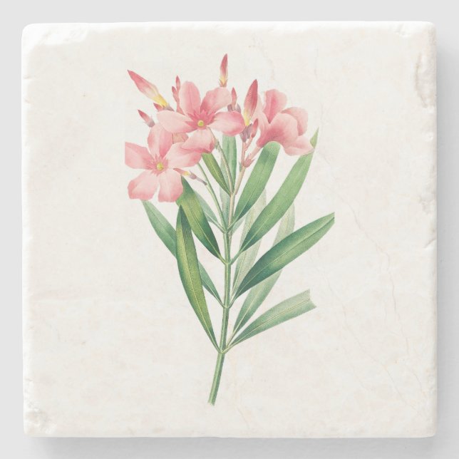 Flower: A005 Oleander - Stone Coaster (Front)