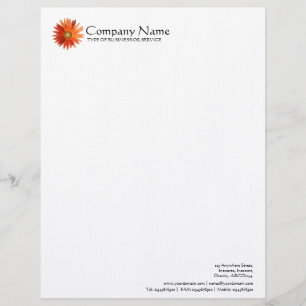 Flower - African Daisy Letterhead