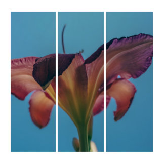 Flower Against a Blue Sky Photography Poster Triptych
