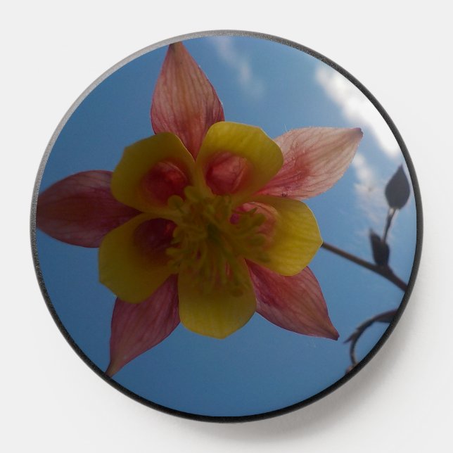 Flower Against Sky Popsocket (Popsocket)