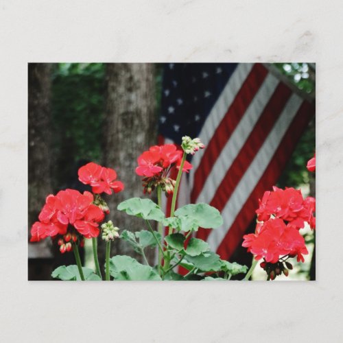 Flower and flag Red white and blue Postcard