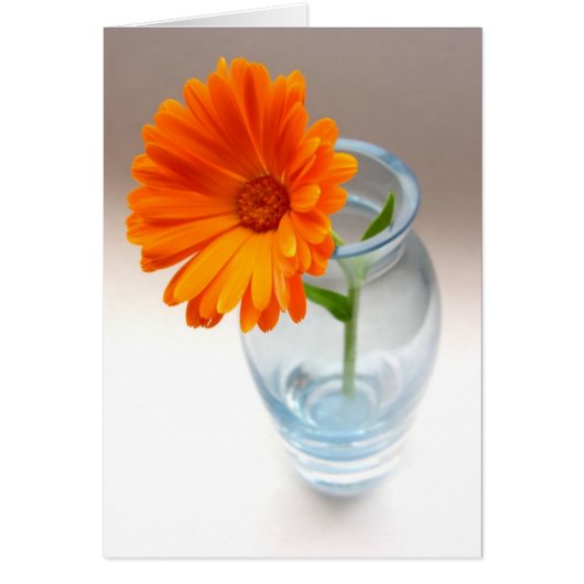 Flower and Vase Cards (Front)