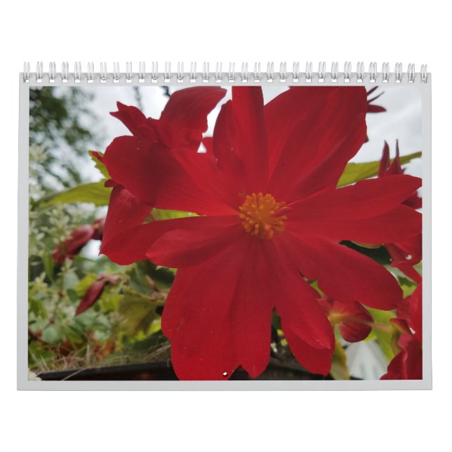 Flower Are It 2026 Calendar (Cover)