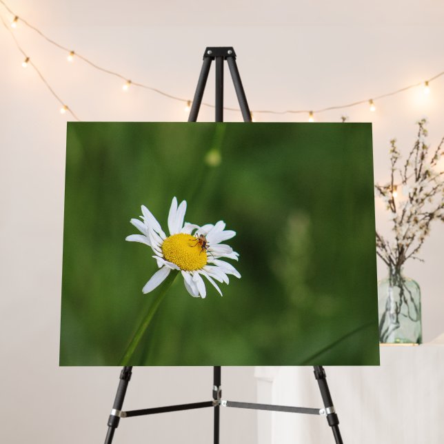 Flower at Dunbar Cave State Park Foam Board (In Situ (Stand))