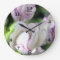 Flower back ground