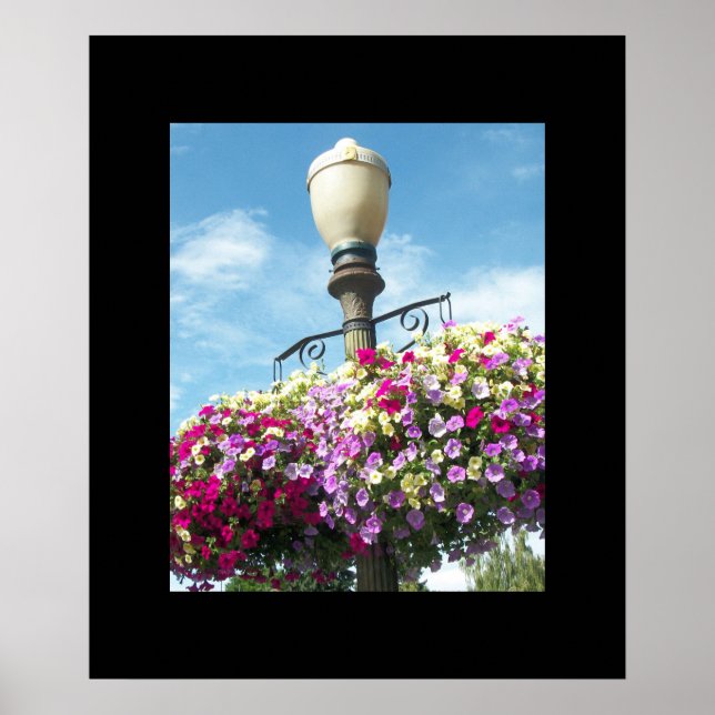 Flower Baskets Poster (Front)