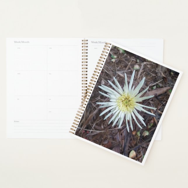 FLOWER BEAUTY FOR NATURE LOVER GIFT PLANNER (Display)
