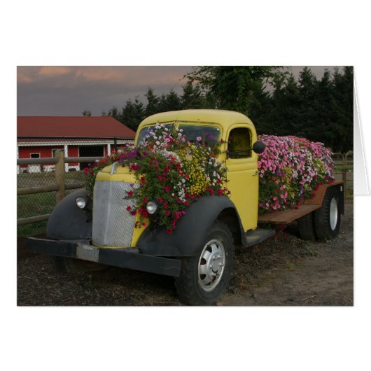 Flower Bed (Front Horizontal)