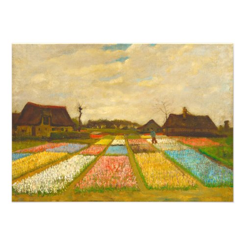Flower Beds in Holland by van Gogh Photo Print