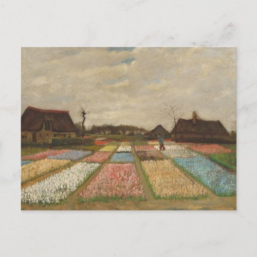 Flower Beds in Holland by Vincent Van Gogh Postcar Postcard