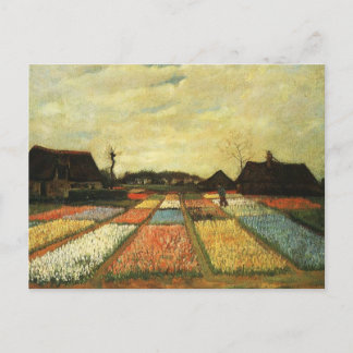 Flower Beds in Holland Postcard