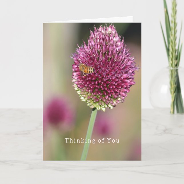 Flower Bee Thinking of You (photography by me) Card (Front)