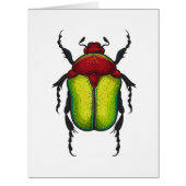 Flower beetle (Front)