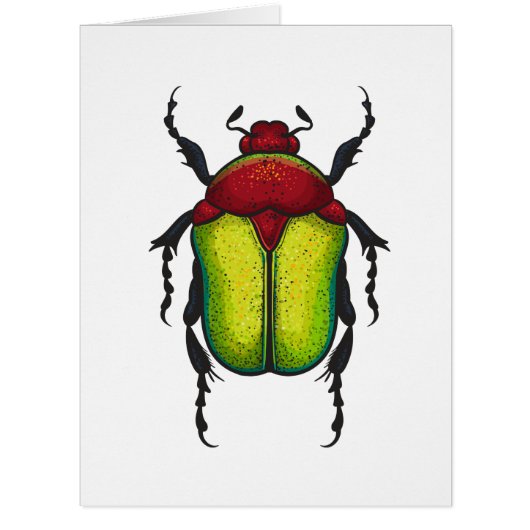 Flower beetle (Front)