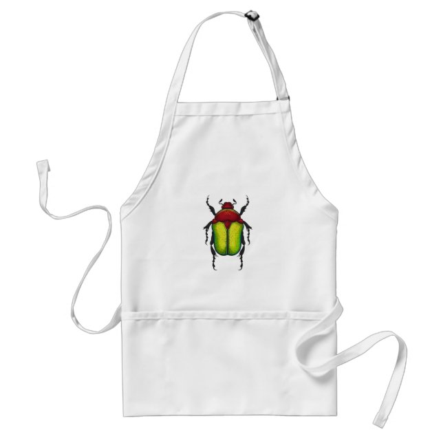 Flower beetle adult apron (Front)