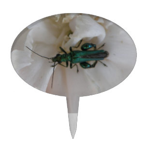 Flower Beetle Cake Pick