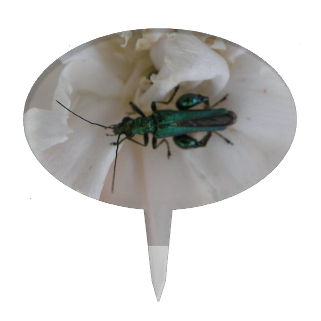Flower Beetle Cake Pick (Front)