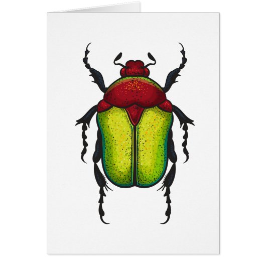 Flower beetle cards (Front)