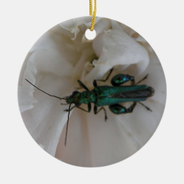 Flower Beetle Custom Birthday Ceramic Ornament (Front)