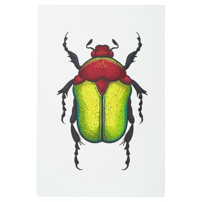 Flower beetle metal print (Front)