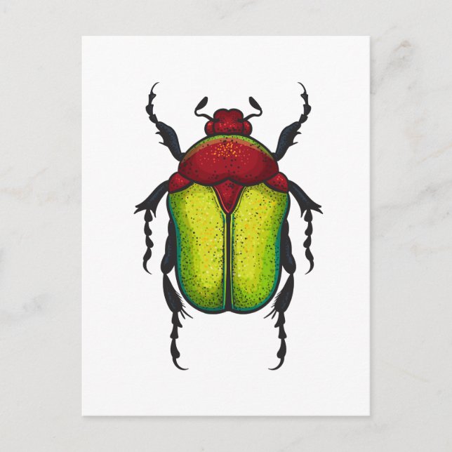 Flower beetle postcard (Front)