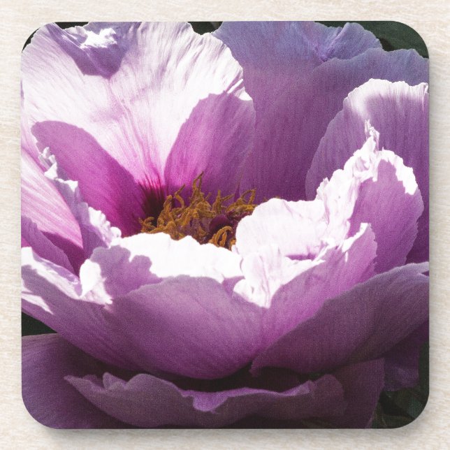flower beverage coaster (Front)