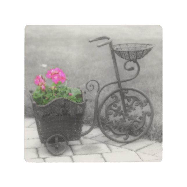Flower Bicycle Vintage Look Metal Print (Front)
