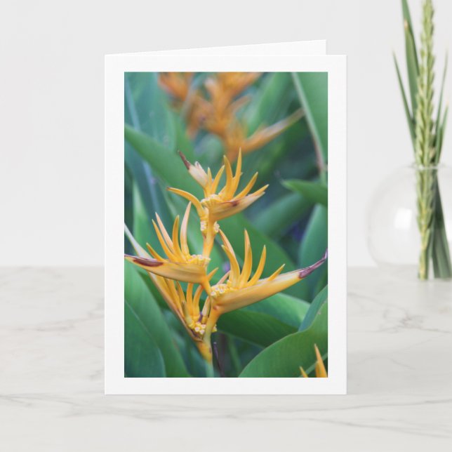 Flower (Bird of Paradise) Blank Card (Front)