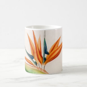 Flower bird of paradise vintage illustrated coffee mug
