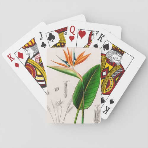 Flower bird of paradise vintage illustrated poker cards