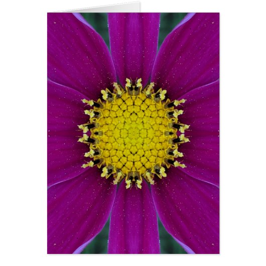 Flower Blank Card (Front)