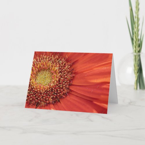 Flower Blank Notecard