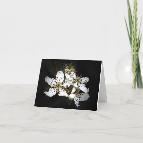 Flower Blank Notecard