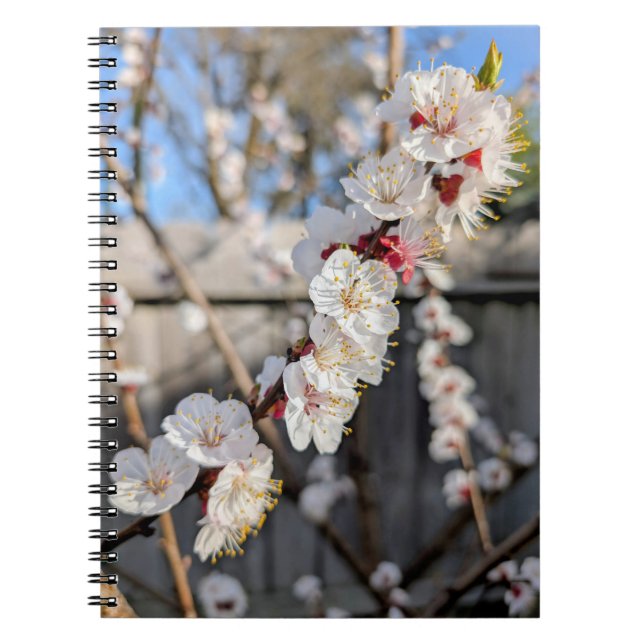 Flower blossoms notebook (Front)