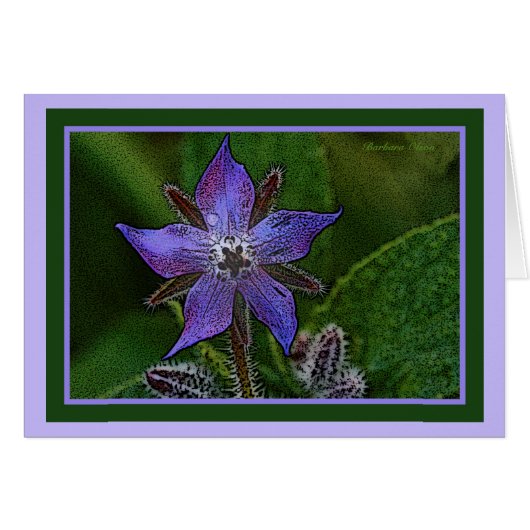 Flower: Borage Cards (Front Horizontal)