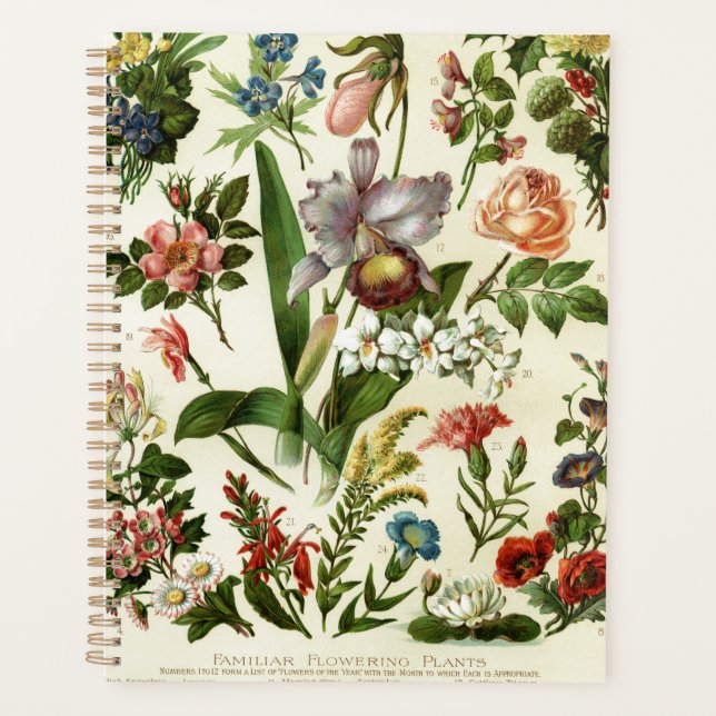 Flower Botanicals Planner (Front)