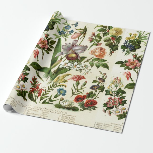 Flower Botanicals Wrapping Paper (Unrolled)