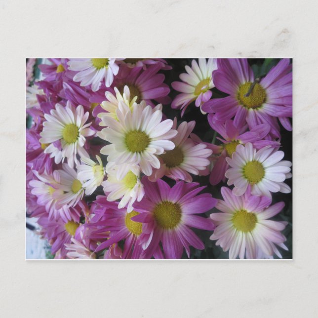 FLOWER Bouquet Butterfly Garden: Elegant Gifts Postcard (Front)