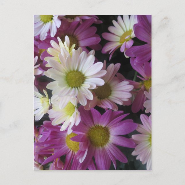 FLOWER Bouquet Butterfly Garden: Elegant Gifts Postcard (Front)