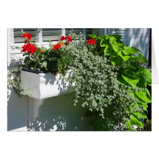 Flower Box Cards (Front Horizontal)