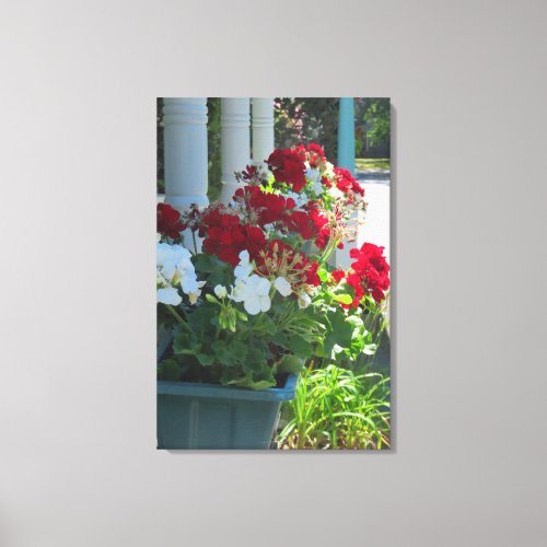 Flower Box Geraniums _ Marthas Vineyard Canvas Print