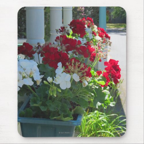 Flower Box Geraniums _ Marthas Vineyard Mouse Pad