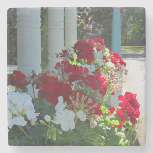 Flower Box Geraniums _ Marthas Vineyard Stone Coaster