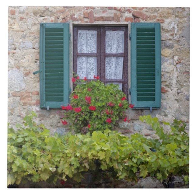 Flower box on window ceramic tile (Front)