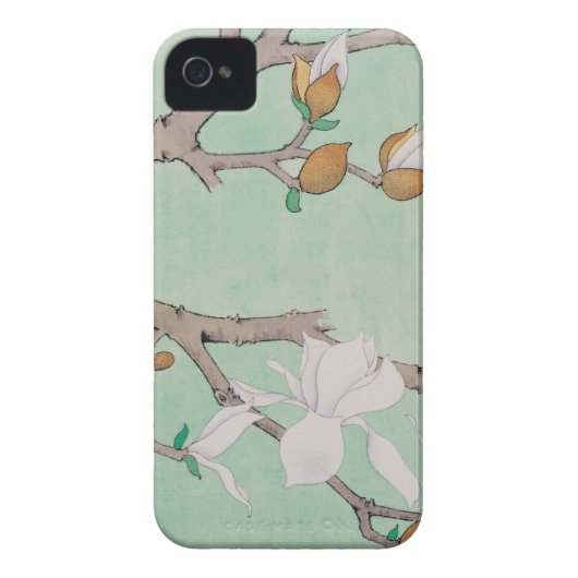 Flower Branches Iphone 4 Cover (Back)