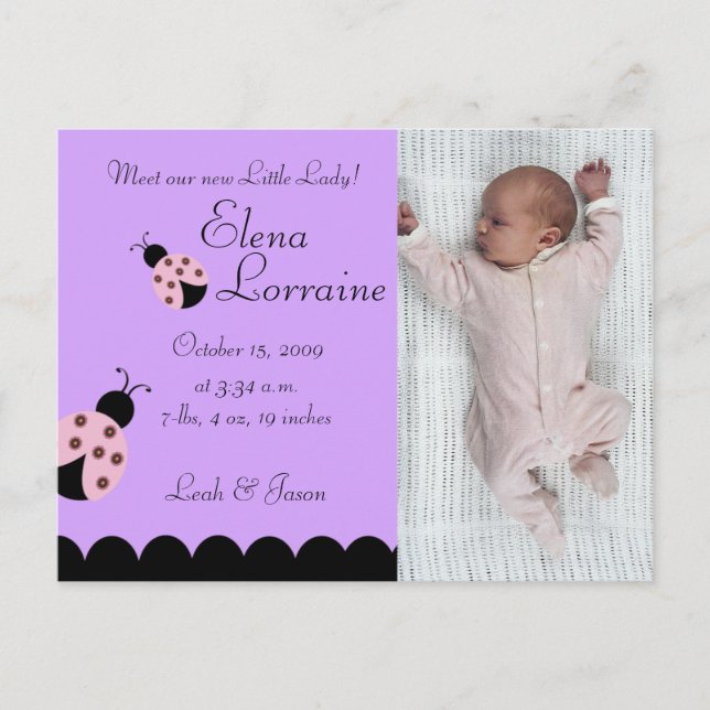 Flower Bug Lady Bug PHOTO Birth announcement Postcard (Front)