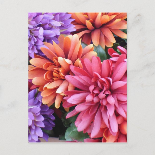 Flower Bursts Postcard (Front)