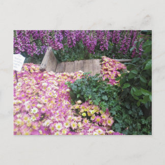 FLOWER Butterfly Garden Vegas Elegant Colorful gif Postcard
