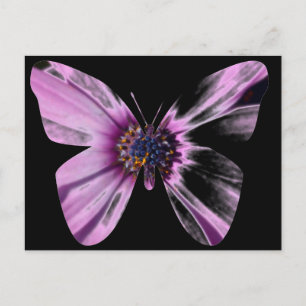 Flower Butterfly Postcard